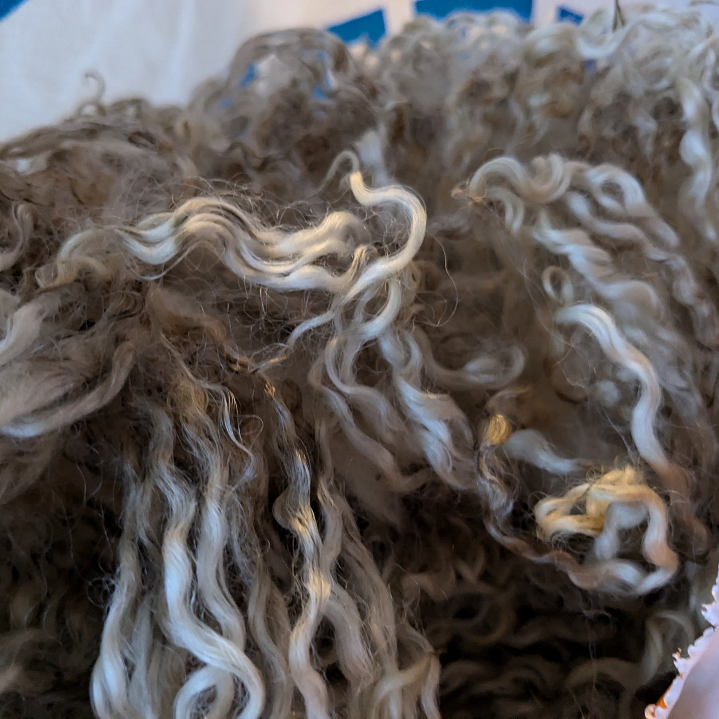 Needle felt 3d seal workshop Saturday 21st March