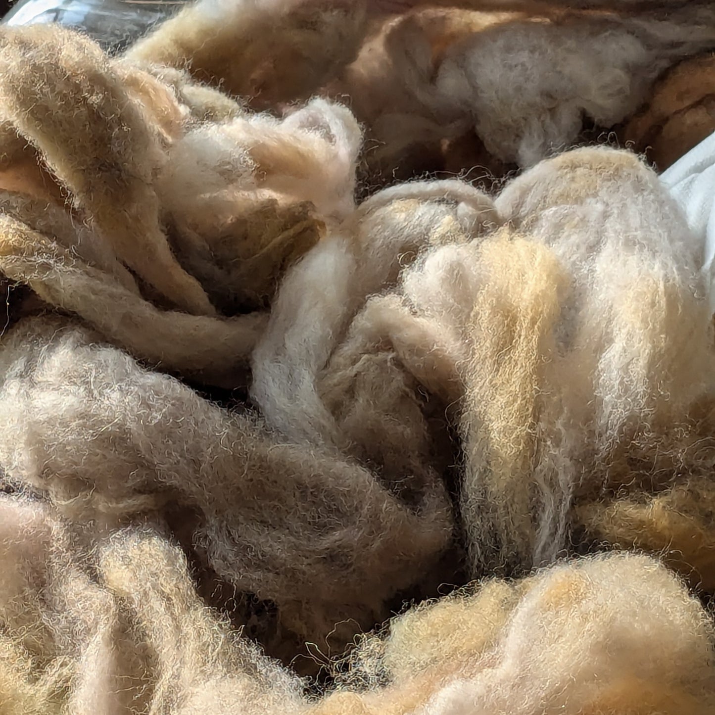 Needle felt 3d seal workshop Saturday 21st March