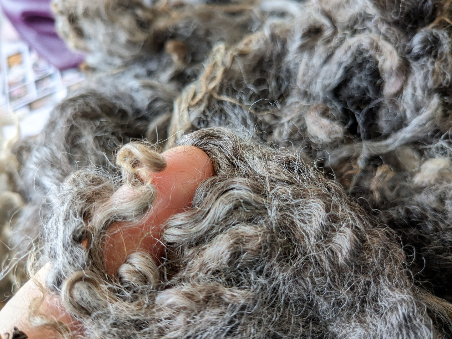 200g hand washed natural fleece, mix of textures and shades of a beautiful Gotland X fleece