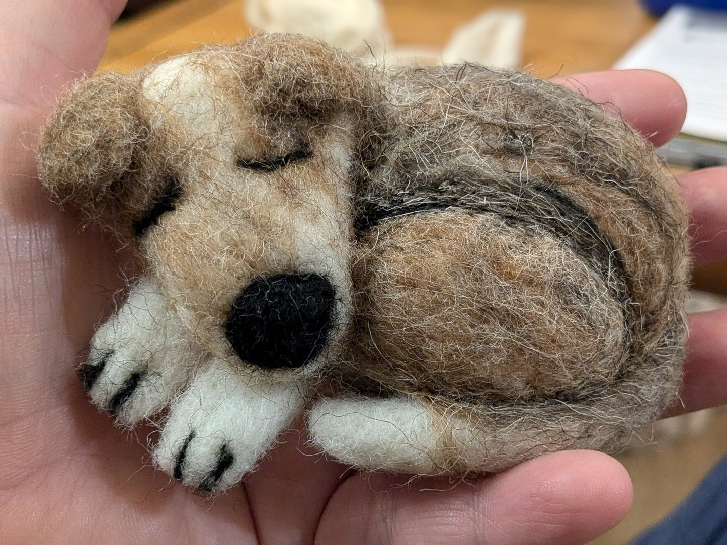 Needle felting dog/cat workshop Saturday 3rd June morning 11-1pm