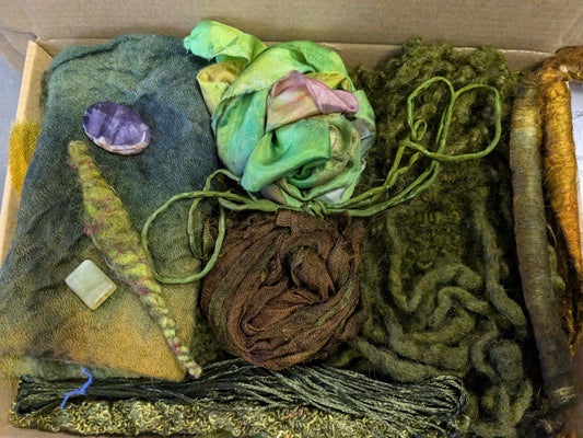 Lichen and moss creativity packs ,  experiment LMCP07