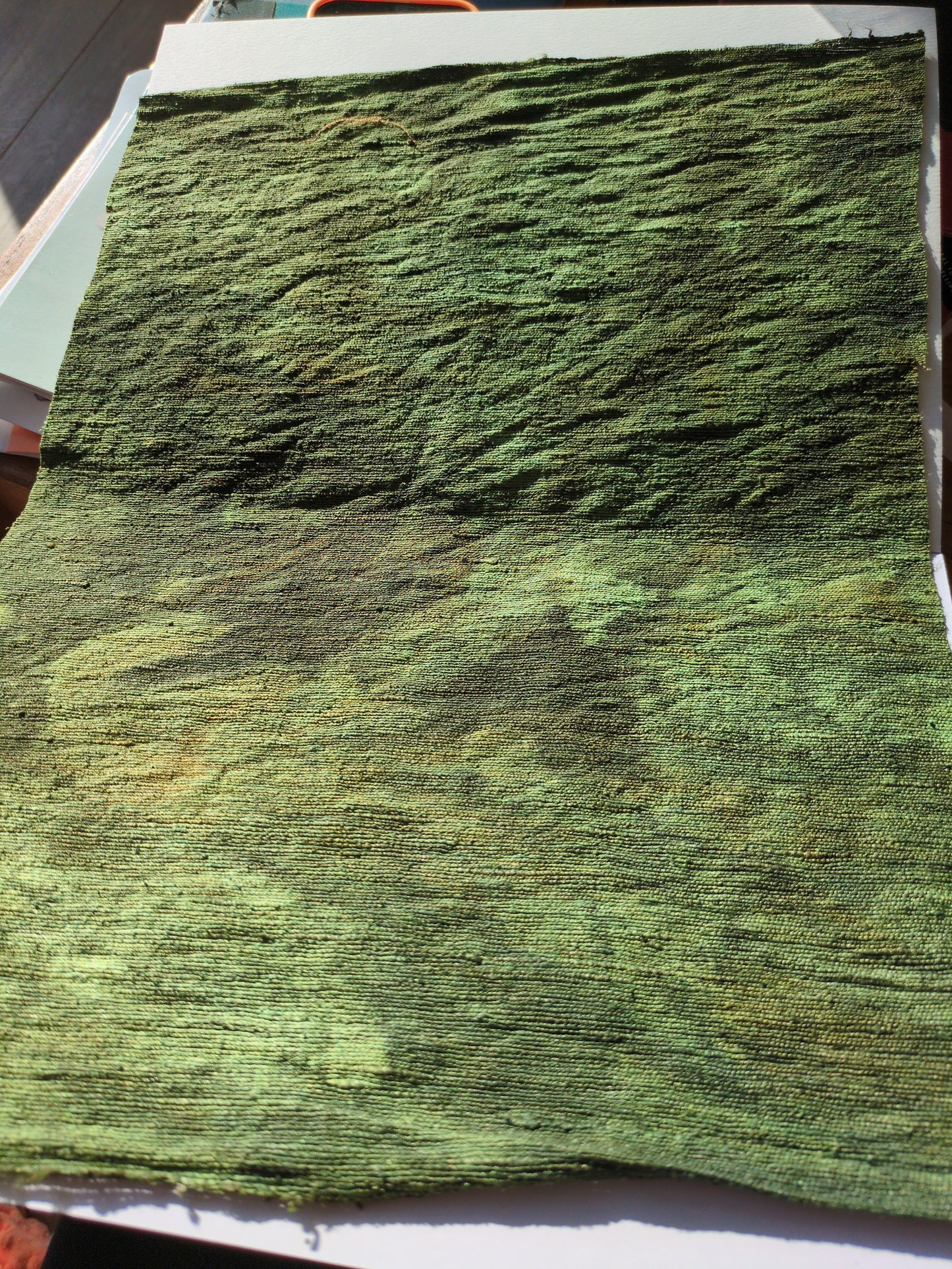 Hand dyed raw silk fabric HDRS13