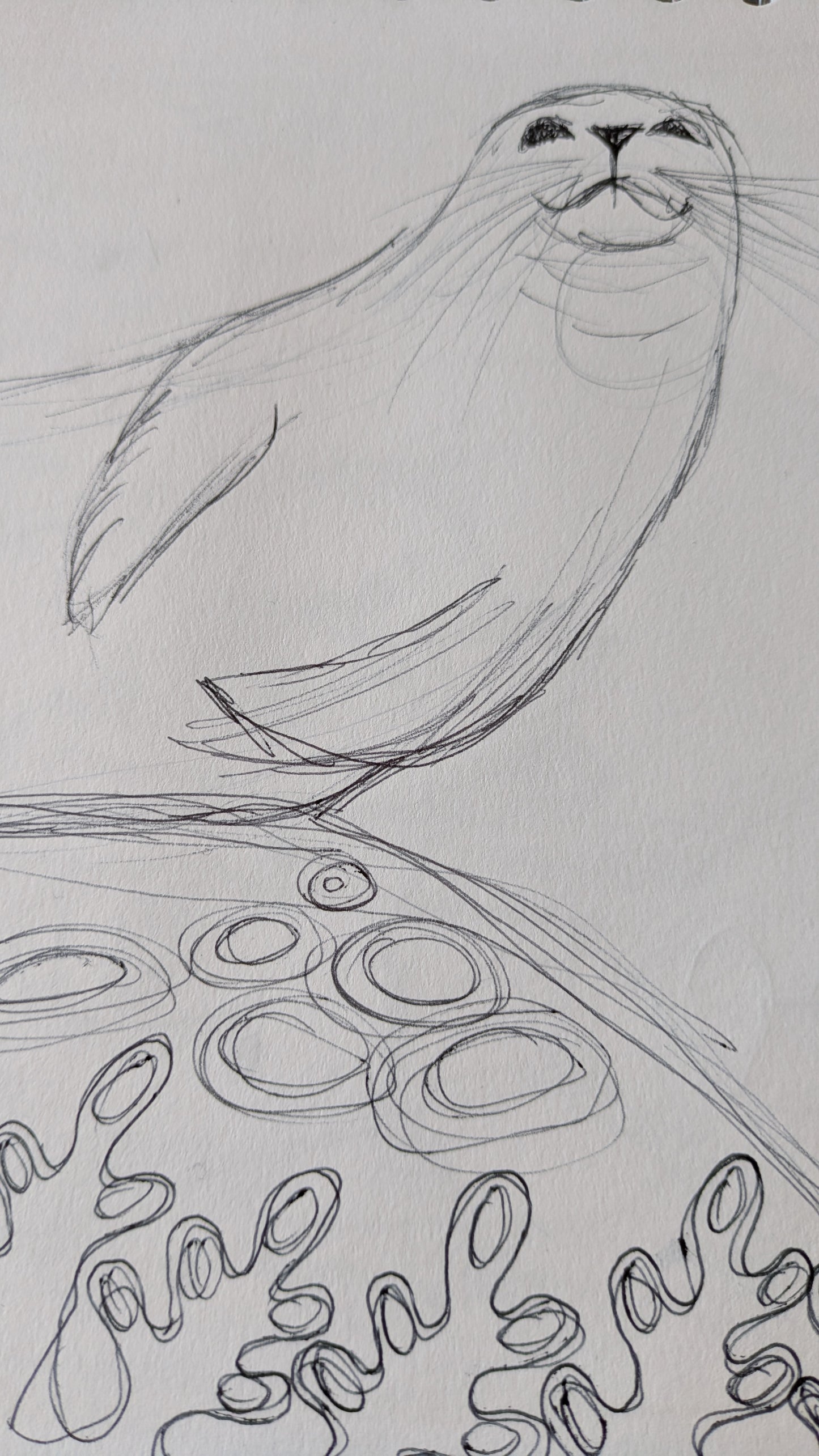 Needle felt 3d seal workshop Saturday 21st March