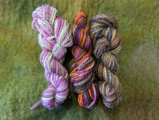 Hand dyed yarn pack 4ply HY05